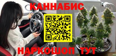 прущие грибы Гагарин