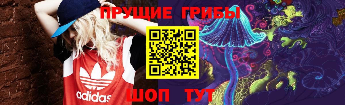 Псилоцибиновые грибы MAGIC MUSHROOMS Мценск